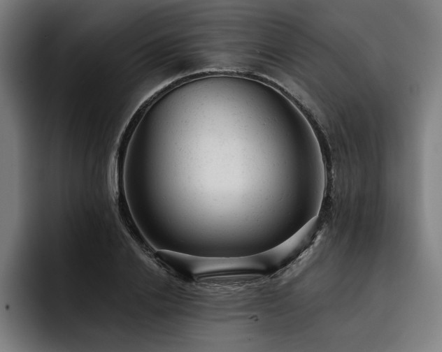 X0000093420838200710121142