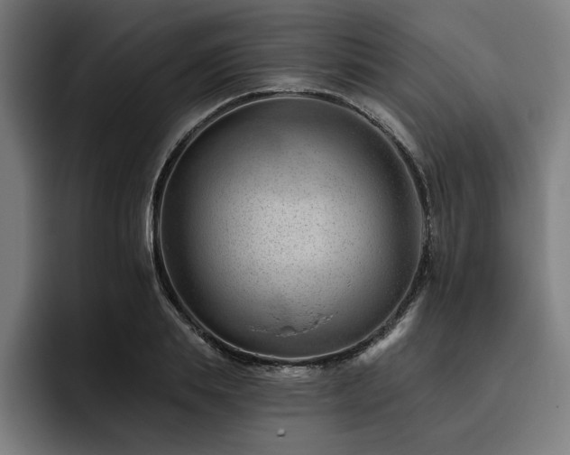 X0000093420839200710121142