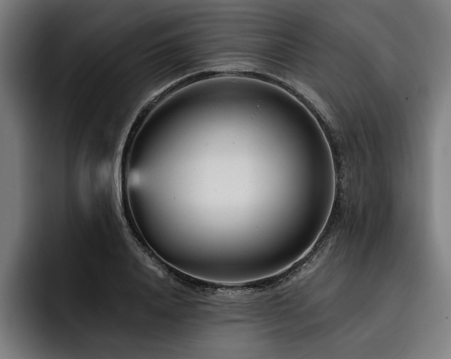 X0000093420840200710121142