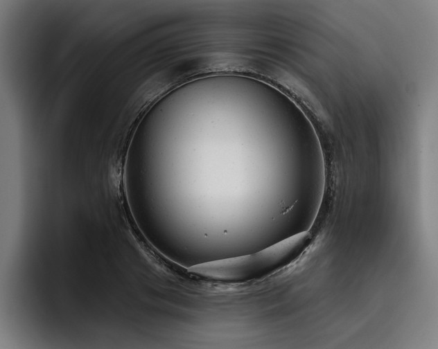 X0000093420841200710121142