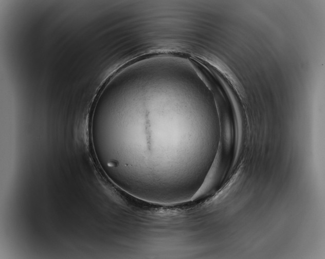 X0000093420842200710121142