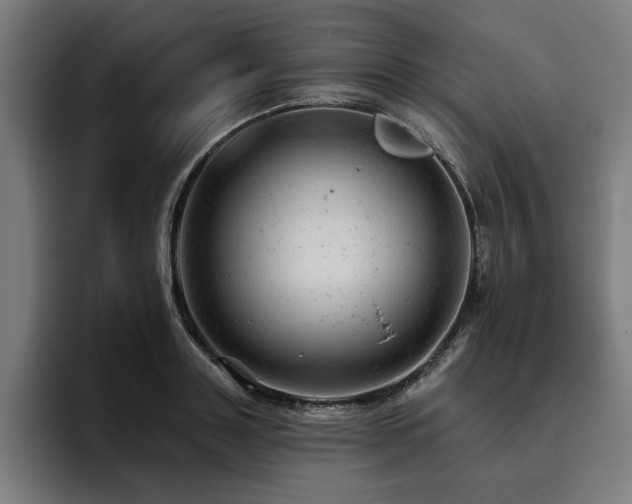 X0000093420843200710121142