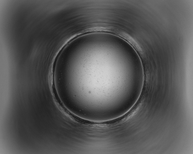 X0000093420844200710121142