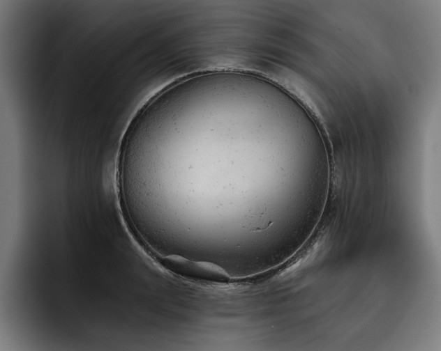 X0000093420847200710121142