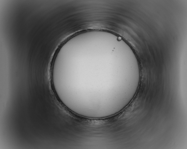 X0000093420848200710121142