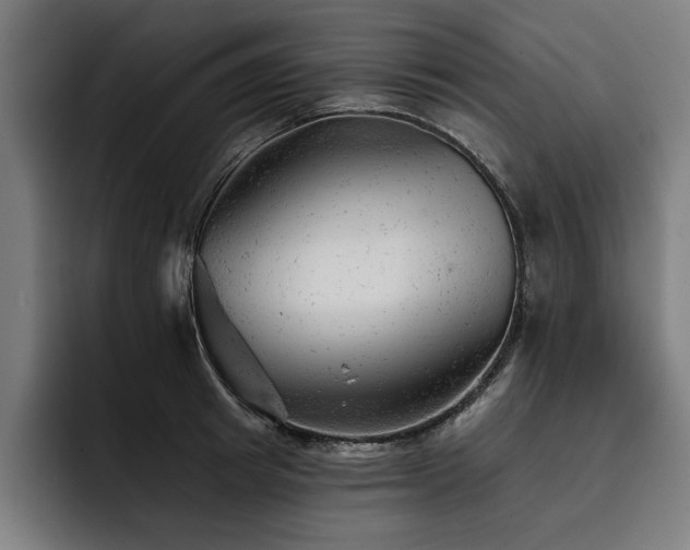 X0000093420849200710121142