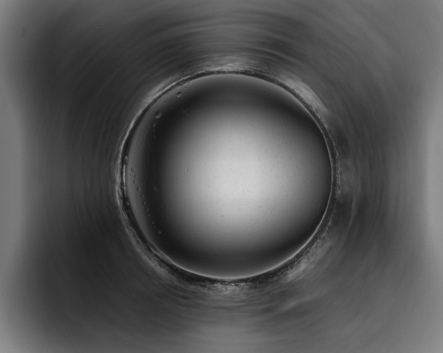 X0000093420850200710121142