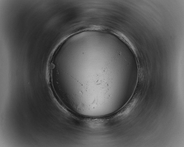 X0000093420851200710121142