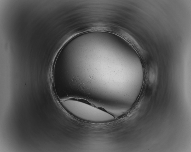 X0000093420852200710121142