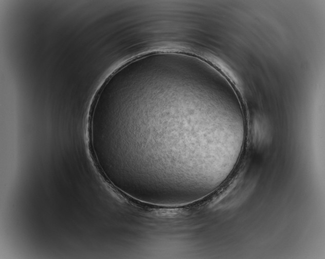 X0000093420853200710121142