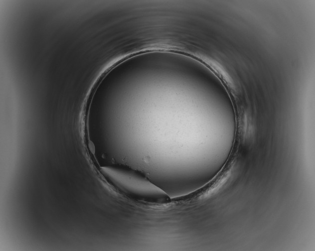X0000093420854200710121142