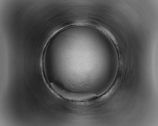 X0000093420855200710121142