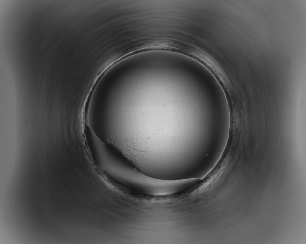 X0000093420858200710121142