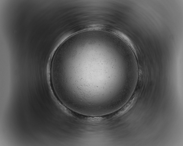X0000093420859200710121142