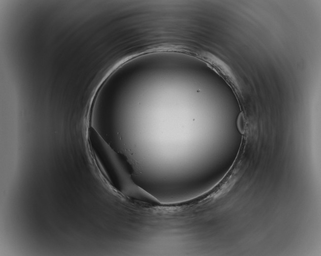 X0000093420860200710121142