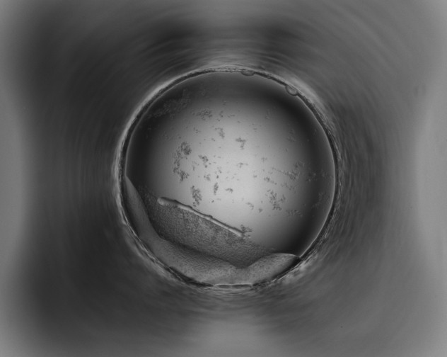 X0000093420864200710121142