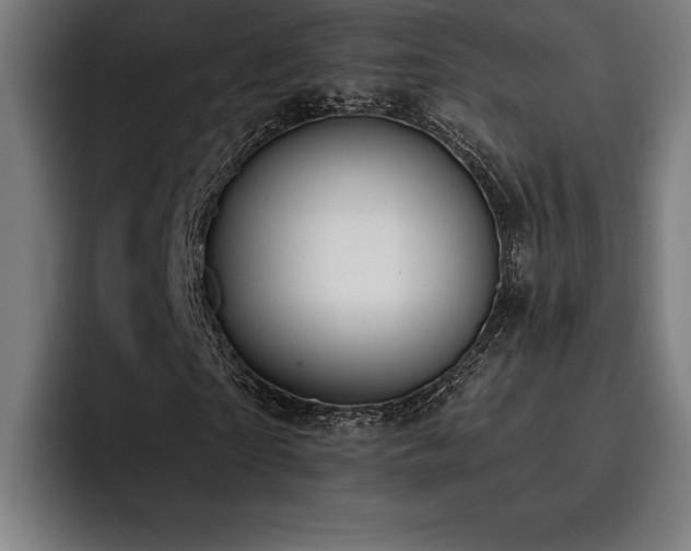 X0000093420865200710121142