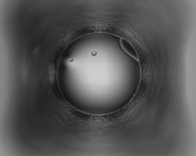 X0000093420866200710121142