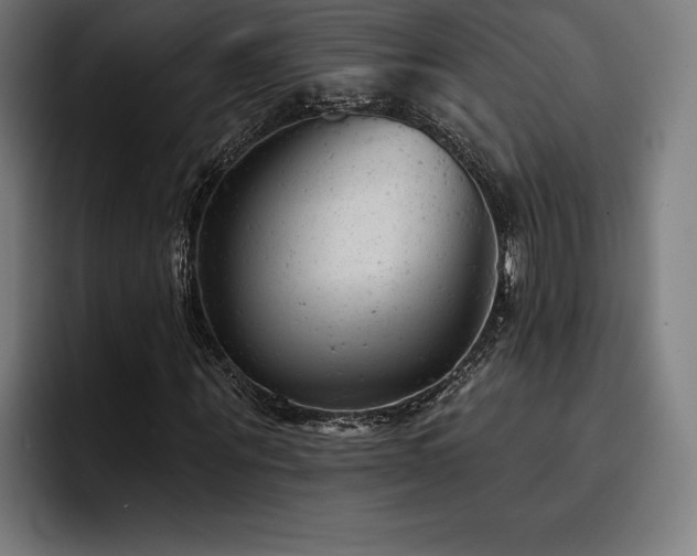 X0000093420867200710121142