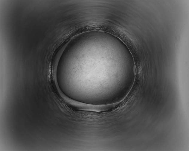 X0000093420868200710121142
