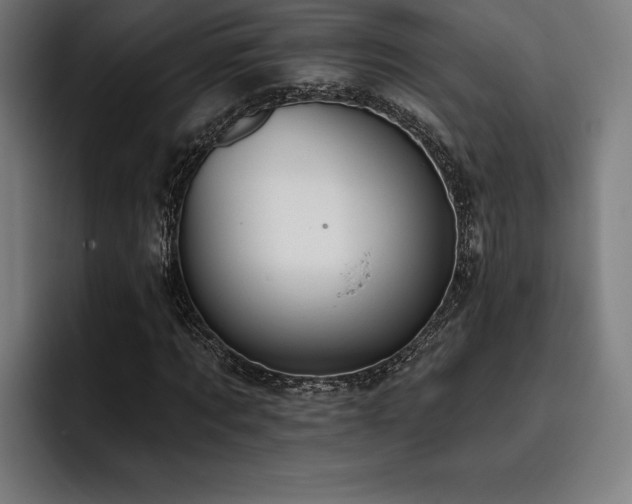 X0000093420869200710121142