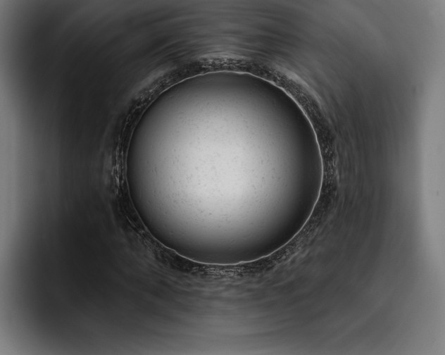 X0000093420870200710121142