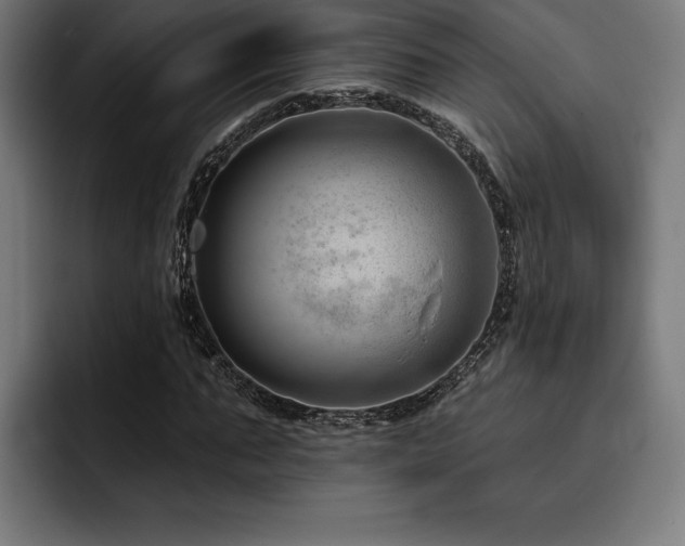 X0000093420871200710121141