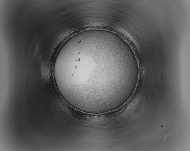 X0000093420874200710121141