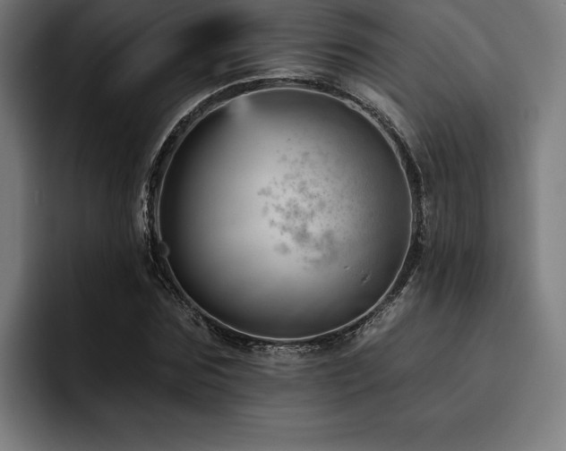 X0000093420875200710121141