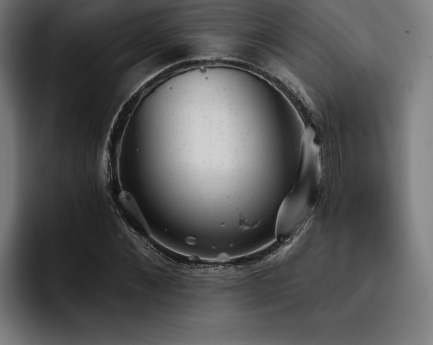 X0000093420876200710121141