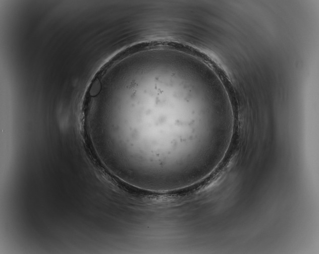 X0000093420879200710121141