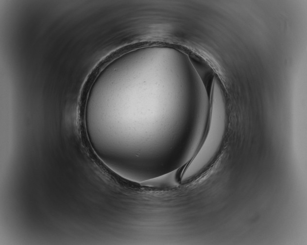 X0000093420880200710121141