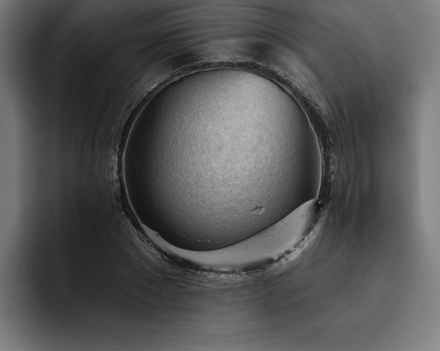 X0000093420881200710121141