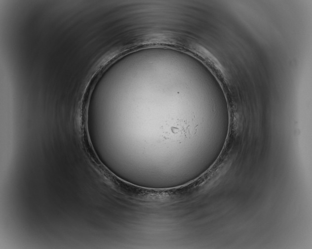 X0000093420882200710121141