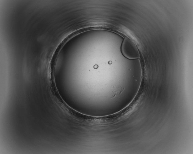X0000093420883200710121141