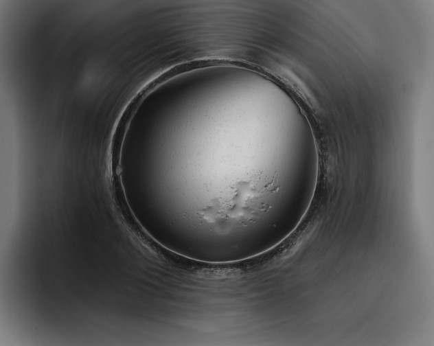 X0000093420884200710121141