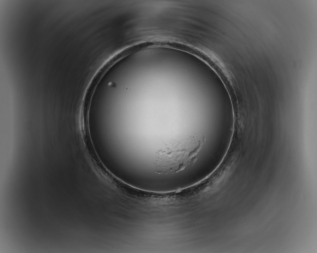 X0000093420887200710121141