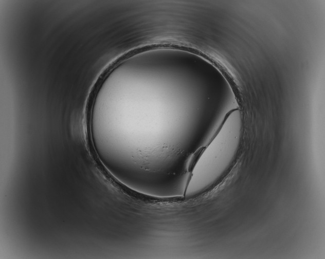 X0000093420888200710121141