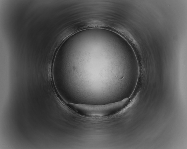X0000093420889200710121141