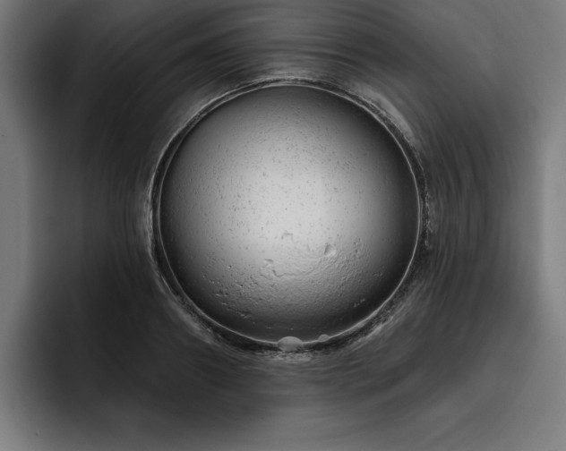 X0000093420890200710121141