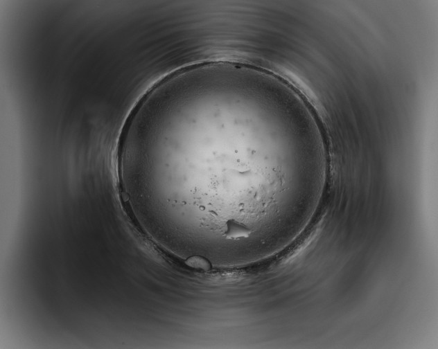 X0000093420891200710121141