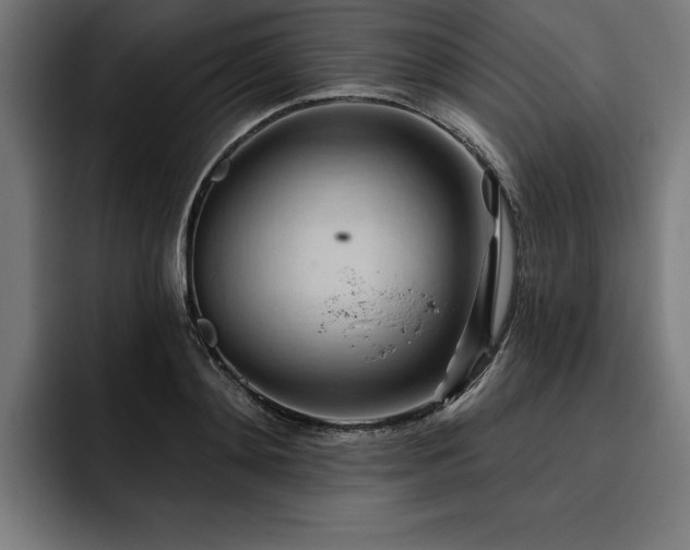 X0000093420892200710121141