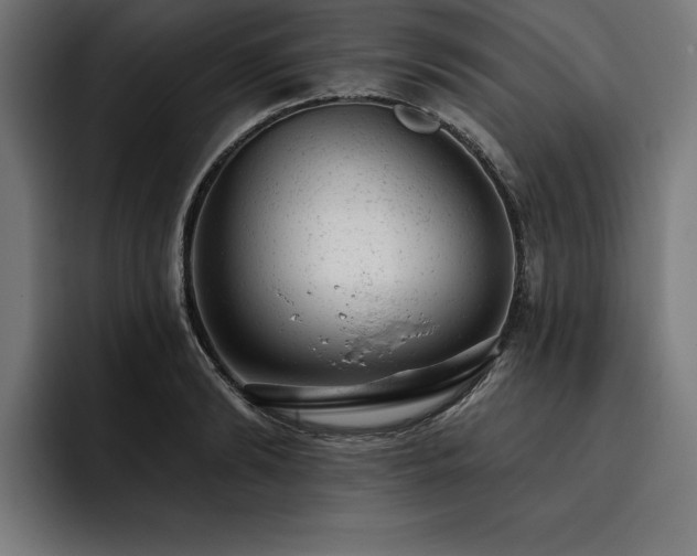 X0000093420894200710121141