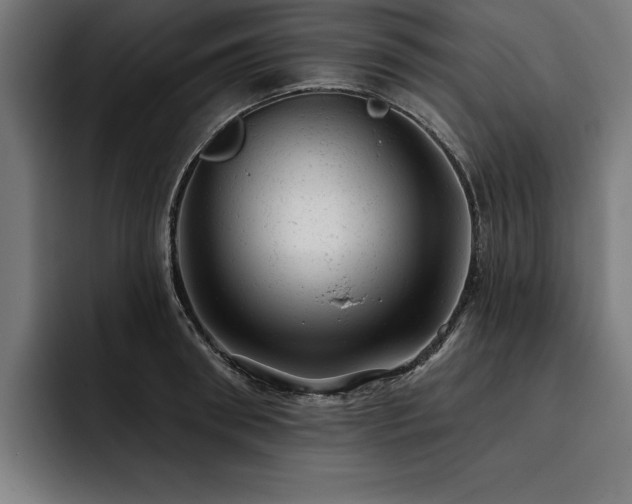X0000093420898200710121141