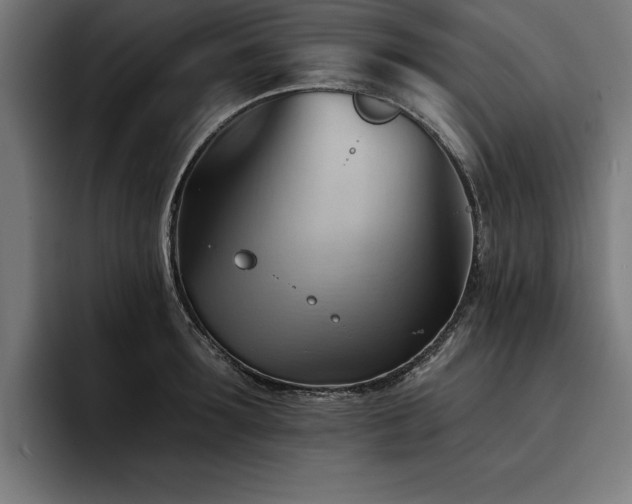 X0000093420899200710121141
