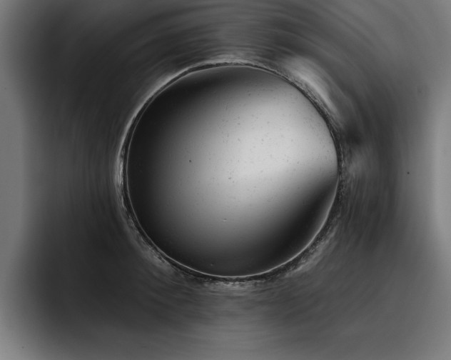 X0000093420900200710121141