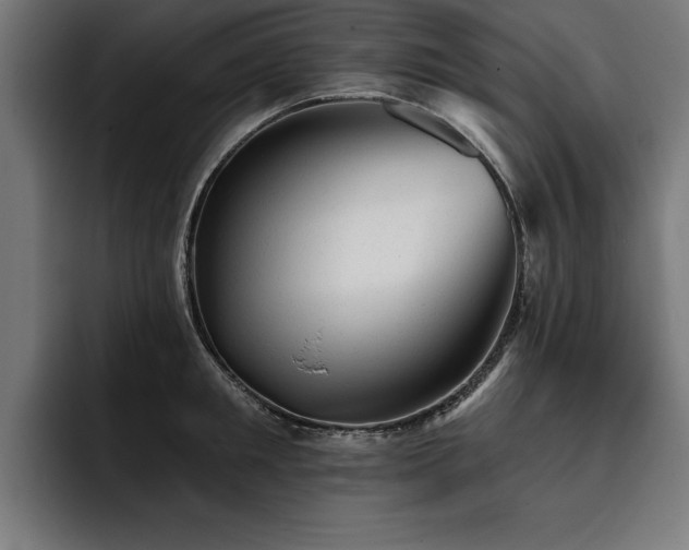 X0000093420901200710121141