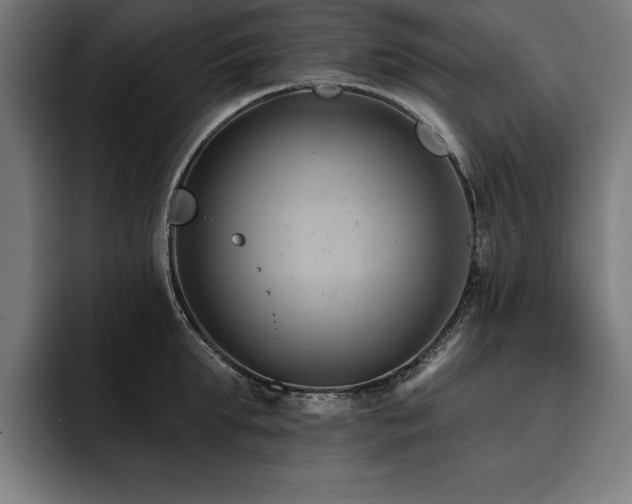 X0000093420903200710121141