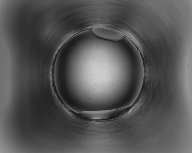 X0000093420906200710121141