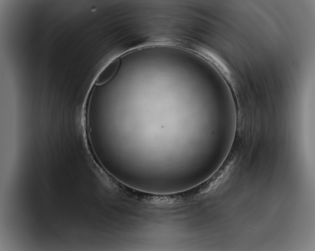 X0000093420907200710121141